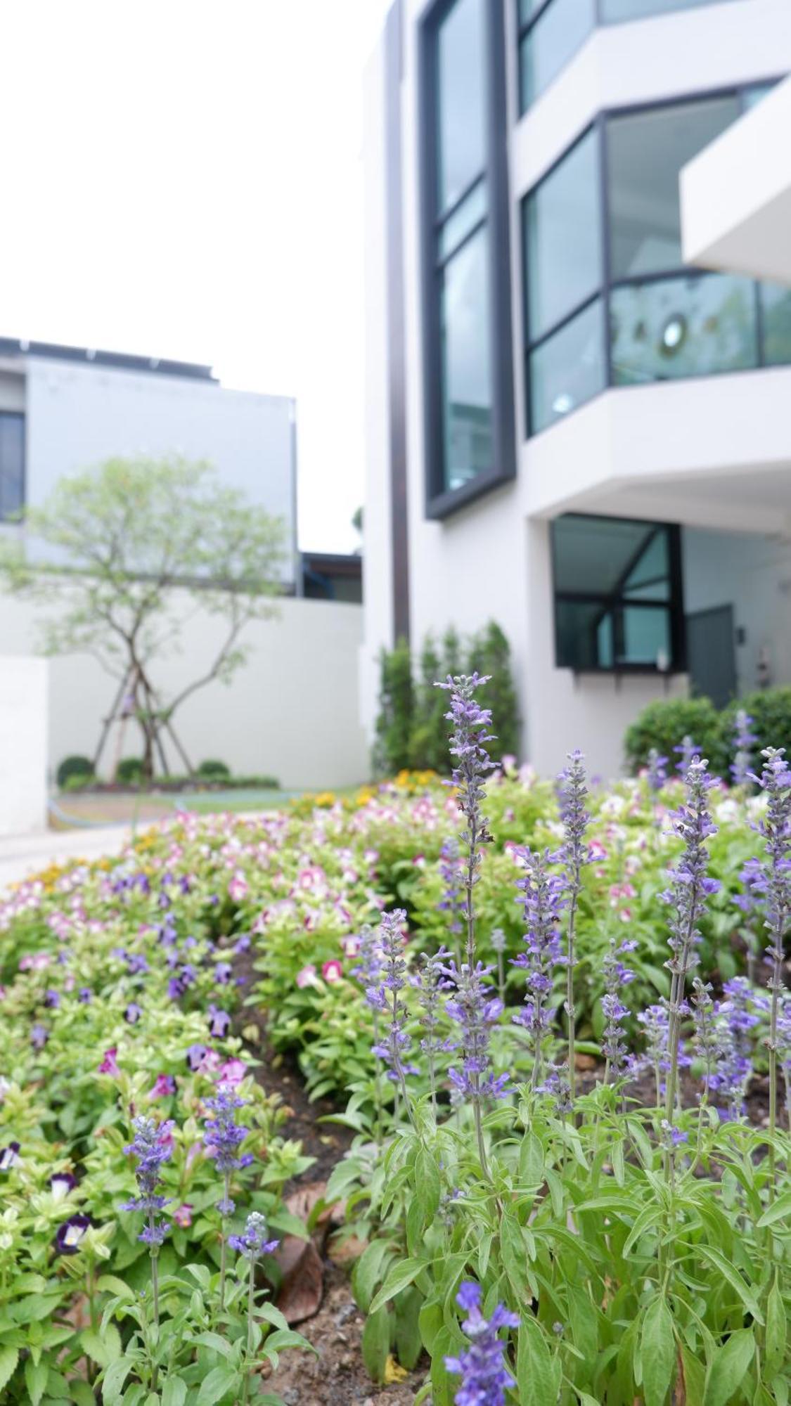Hotel Darin Chiangmai And Chiang Mai